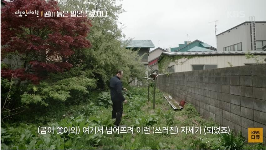 곰이 늙은 일본을 덮치다. 여고생 덮친 아키타 반달곰,, (17)
