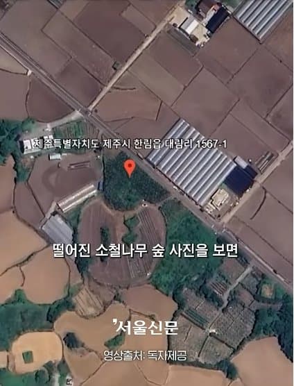 제주실종자가 발견 된 야자수 숲 가는 길을 밤에 직접 가본 기자.. (23)