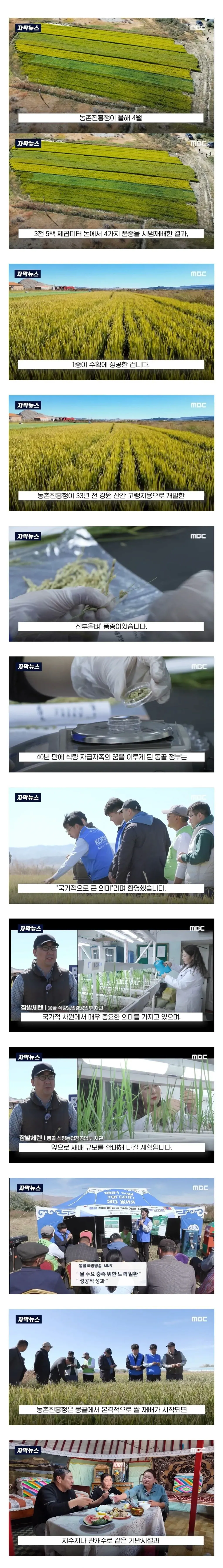 몽골이 한국을 좋아하는 이유 (4)