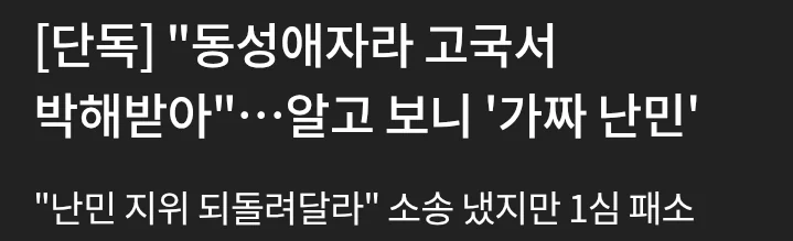 가짜 난민 브로커 적발 증가 (11)