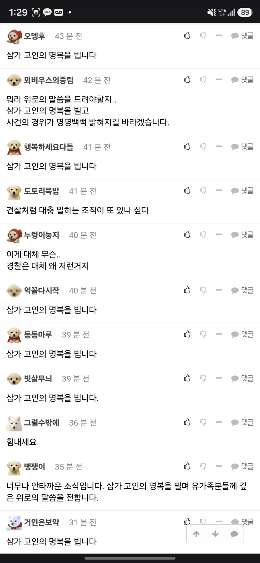 제주 실종자 장미란씨 가족분 글 근황.jpg_4.webp