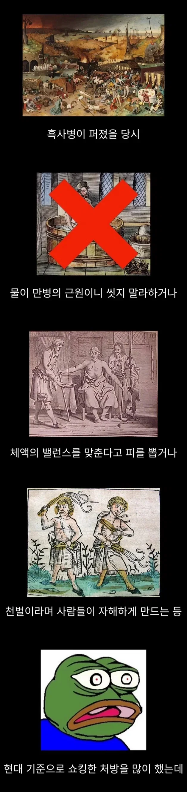 프랑스에서 흑사병을 퇴치한 전설의 의사