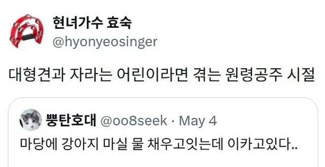 X] 대형견과 자라는 어린이라면 겪는 원령공주 시절.twt