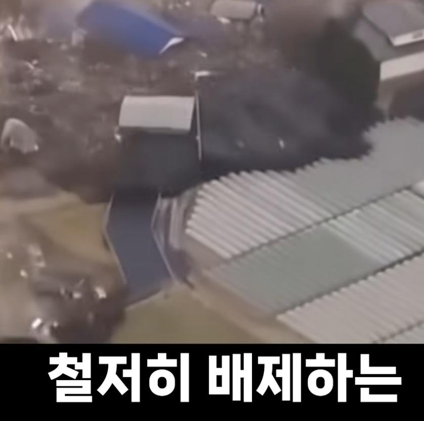 일본 (67)
