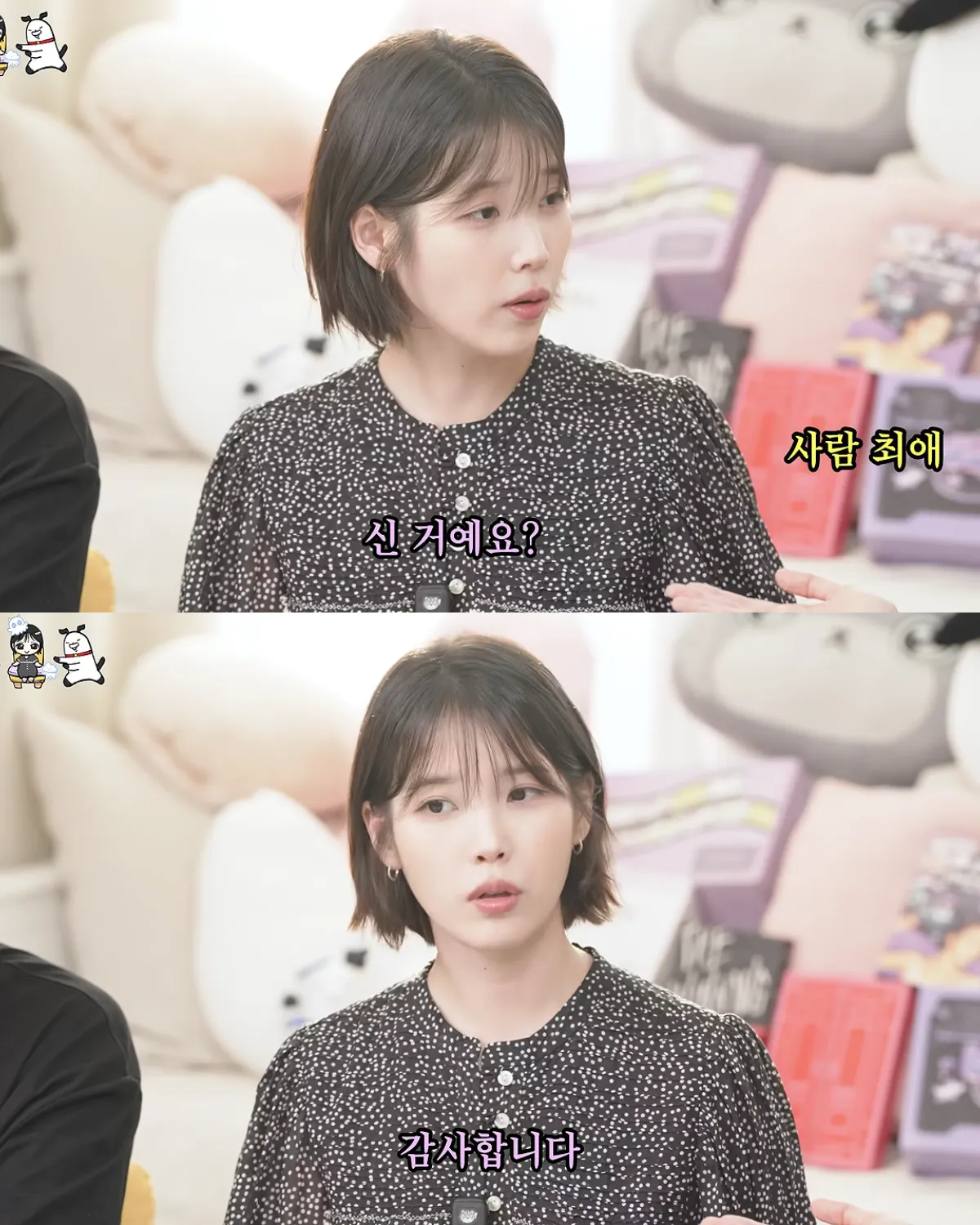 INFJ로 바뀌었다는 아이유 (17)