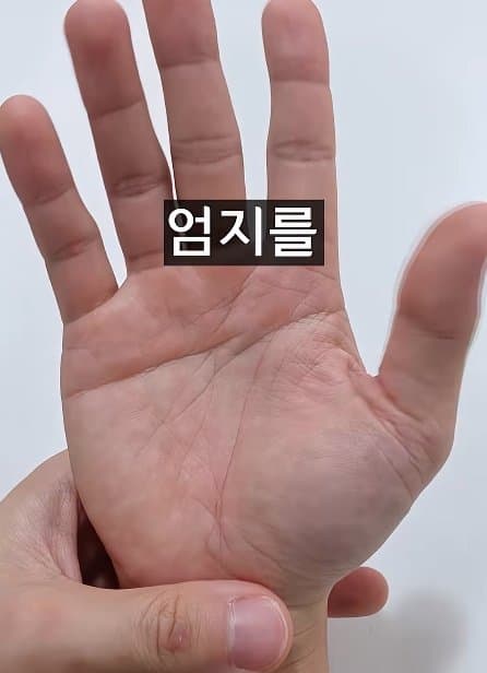 긴급) 지금 이동작 안되면 바로 병원에 가야 합니다! (25)