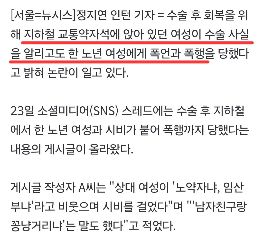 지하철에서 손찌검하는 할머니 (3)