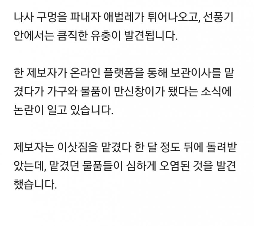 보관이사 맡겼다가 곰팡이, 벌레로 가구 다 망가진 제보자 (30)