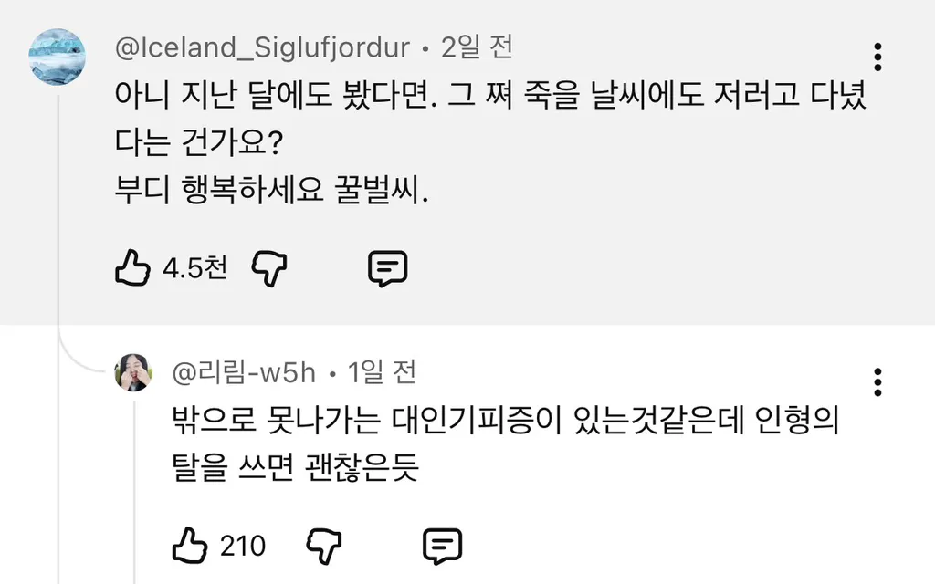 9년째 목격 된다는 꿀벌 인형탈을 쓴 사람