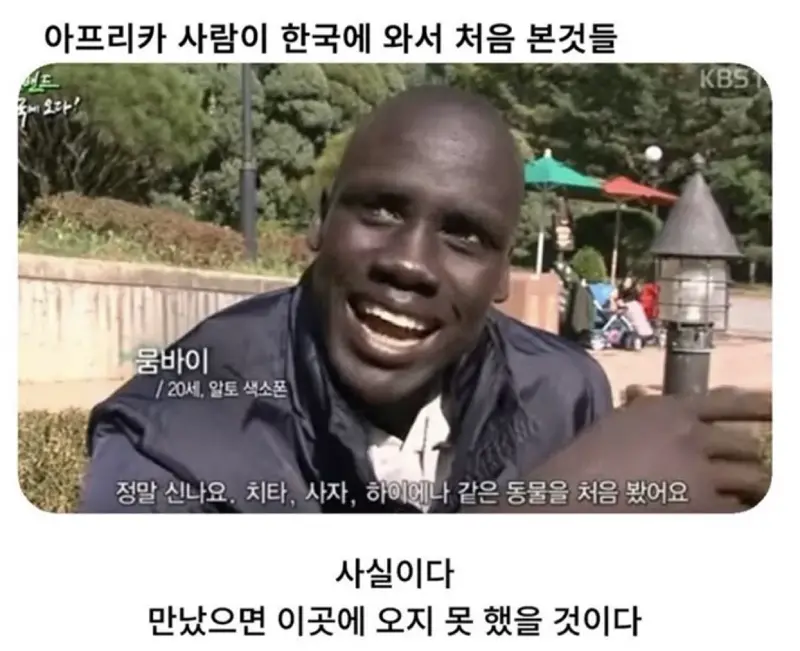 아프리카 사람이 한국에 와서 처음 본것들