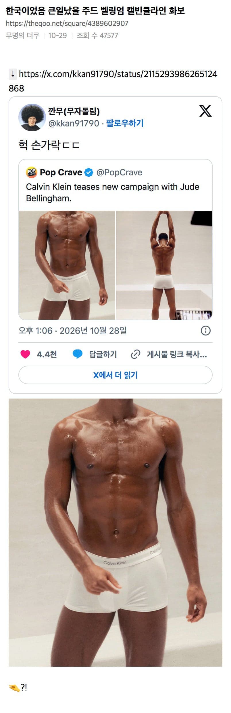 싱글벙글 오늘자 한 건 하셨다는 더쿠 언냐들