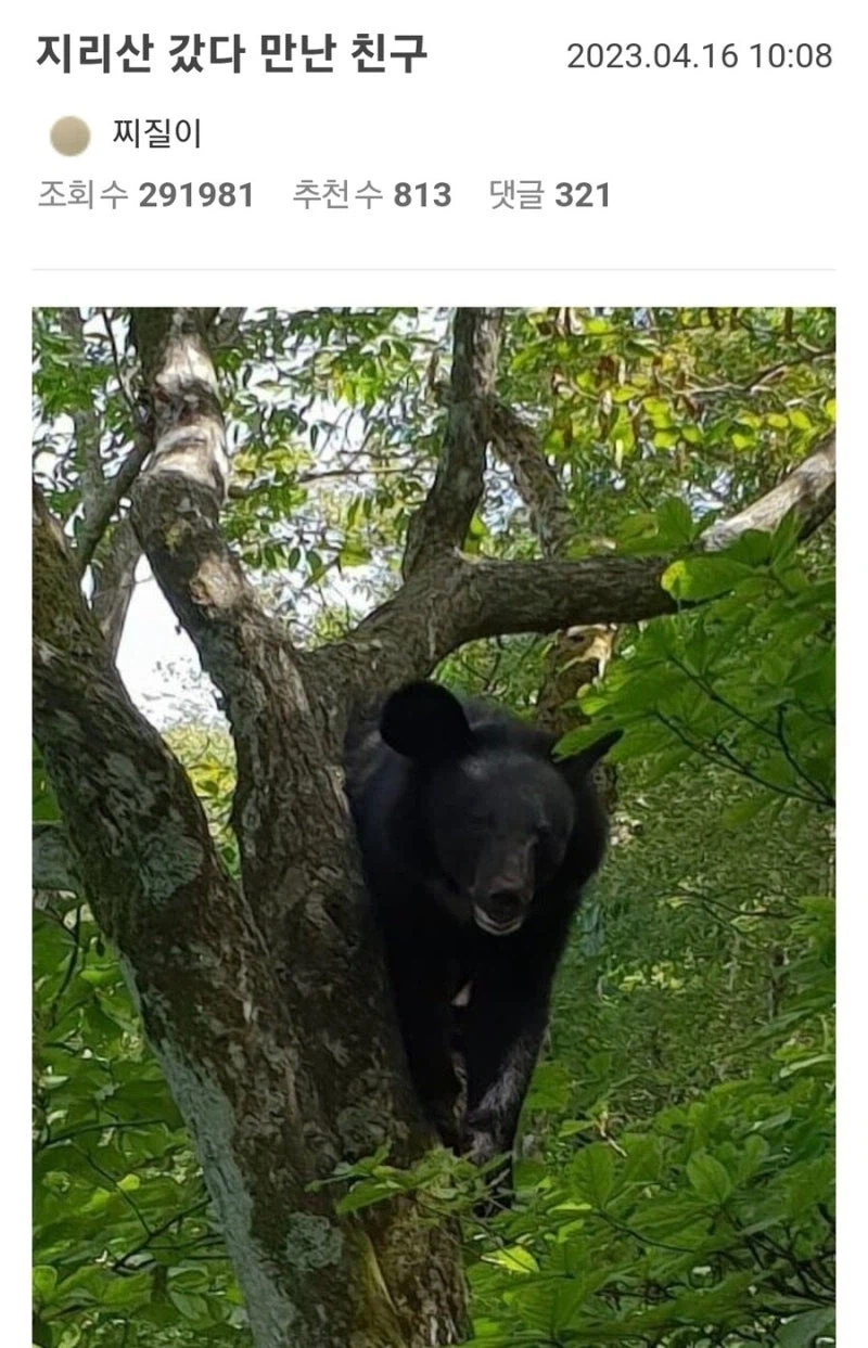 요즘 지리산에서 점점 늘어나는 일