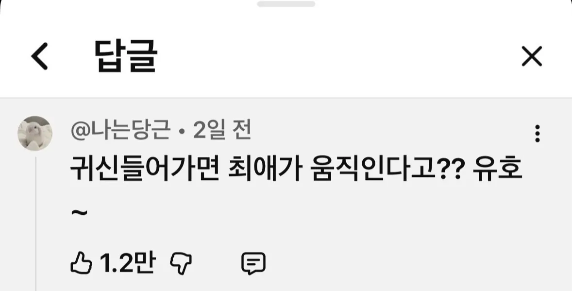 ㅇㅎ) 토이토이 집에 사람 모양 피규어를 두면 안 되는 이유와 디시인들 반응 (9)