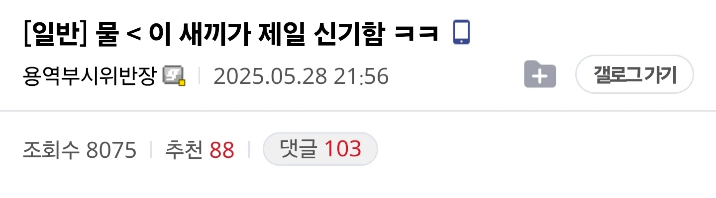 물 < 이 새끼가 제일 신기함 ㅋㅋ
