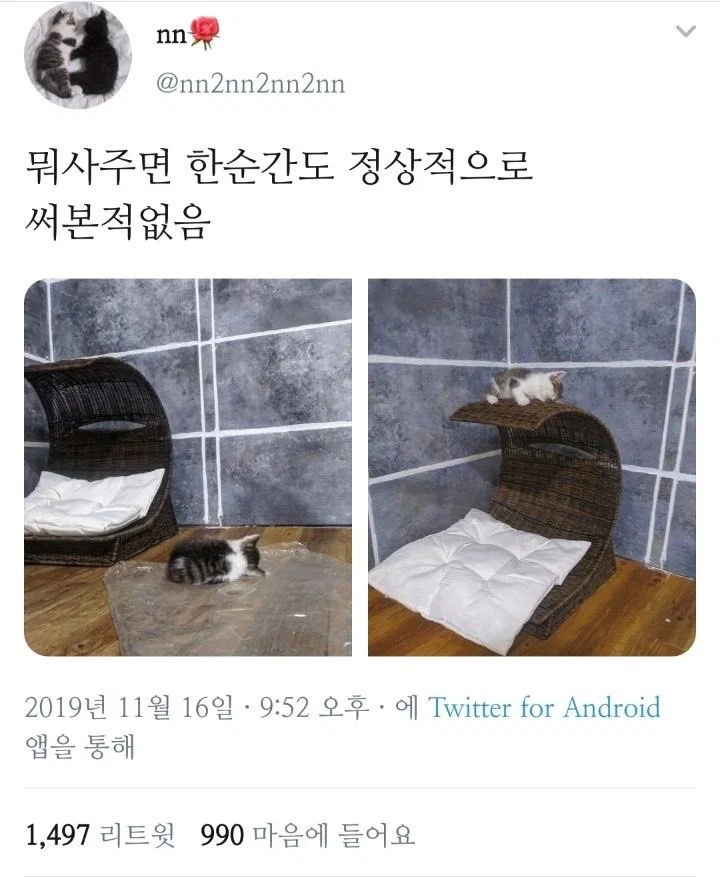 OqBdxK