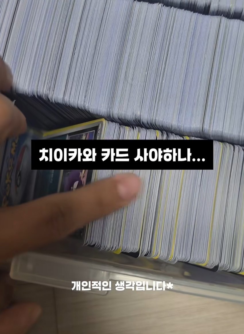 되팔이들 전부 치이카와로 갔다는거 구란줄알았는데 (7)