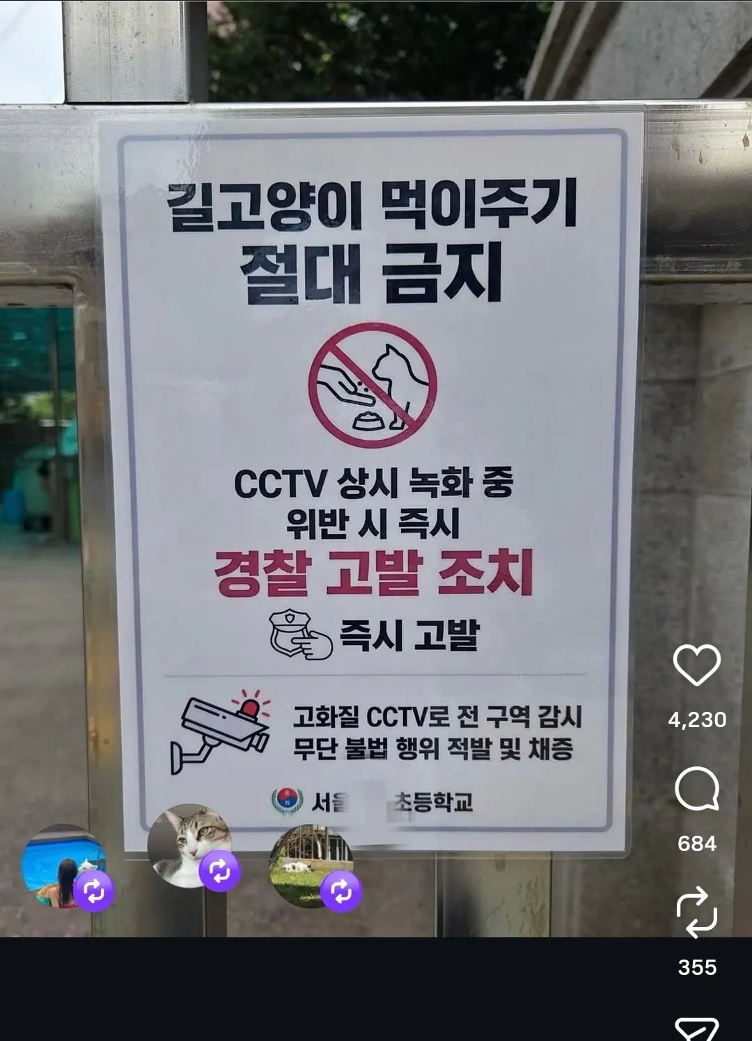 ㄹㅇ 생각보다 장난아니라는 캣맘 화력 (2)