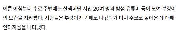 속보?)“부캉아 왜 돌아왔니 ㅠㅠ”…먼 바다로 나간줄 알았더니 전날 밤 수로 재진입 (2)