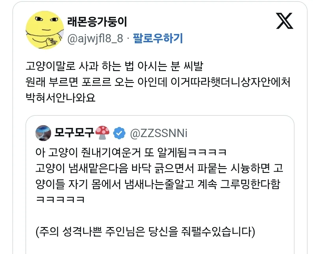 고양이 사과하는법 아시는 분?