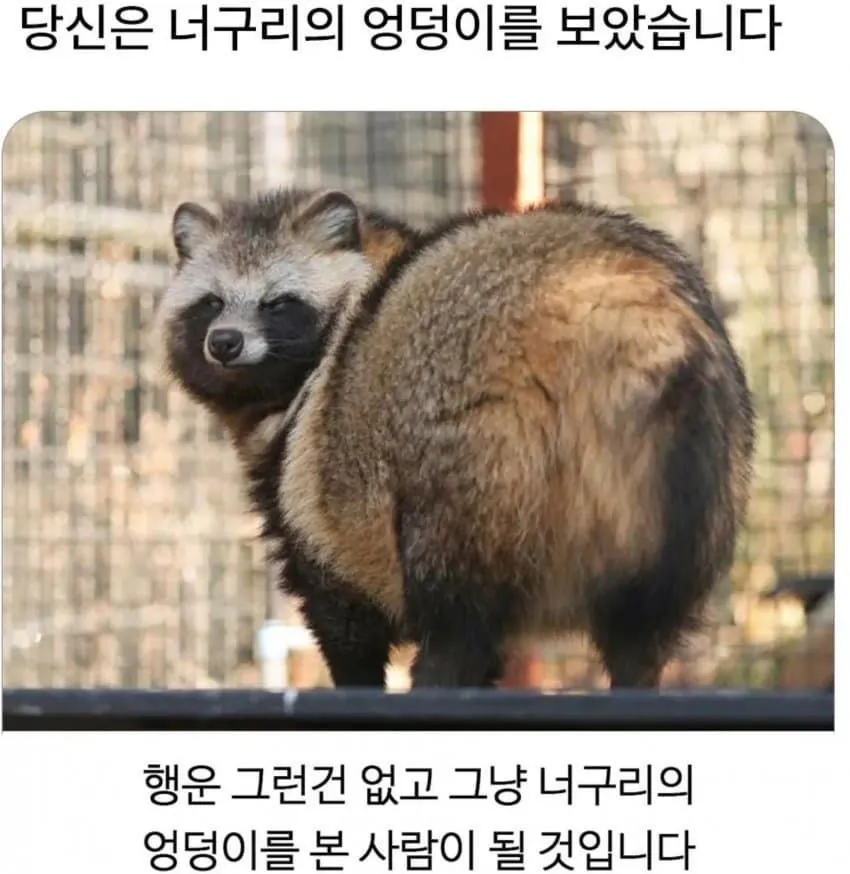 저기요, 지금 제 엉덩이 봤죠?