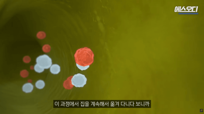 비아그라는 위대했다..역대급 암치료법 등장 (18)