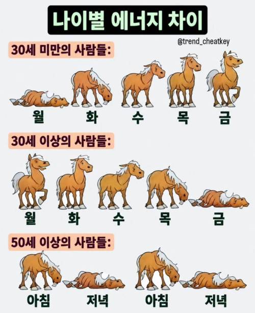  나이별 에너지 차이