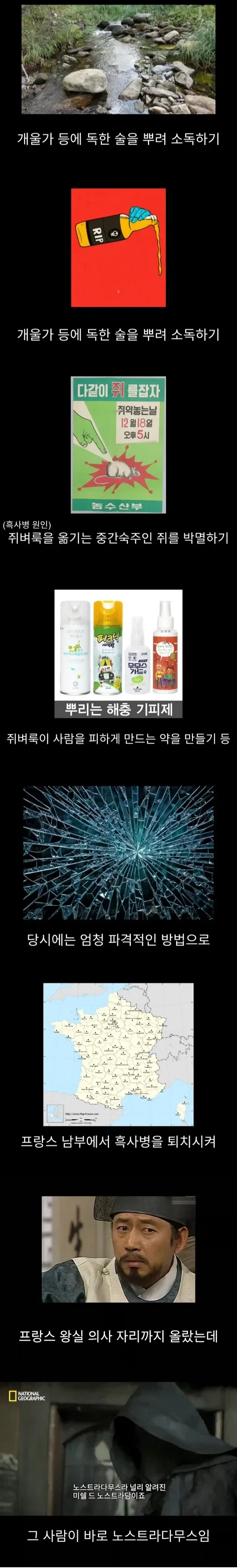 프랑스에서 흑사병을 퇴치한 전설의 의사 (3)