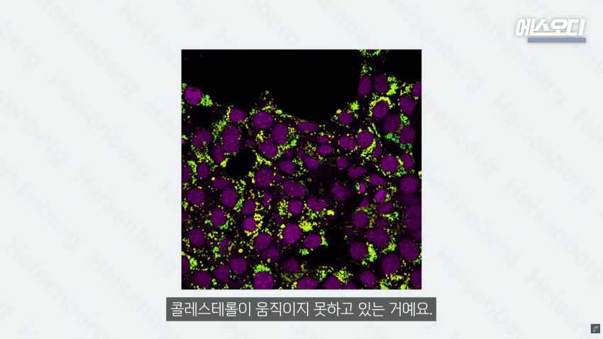 비아그라는 위대했다..역대급 암치료법 등장 (33)