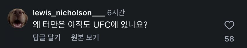 고석현 vs 웰링턴 투르먼 성사 (8)