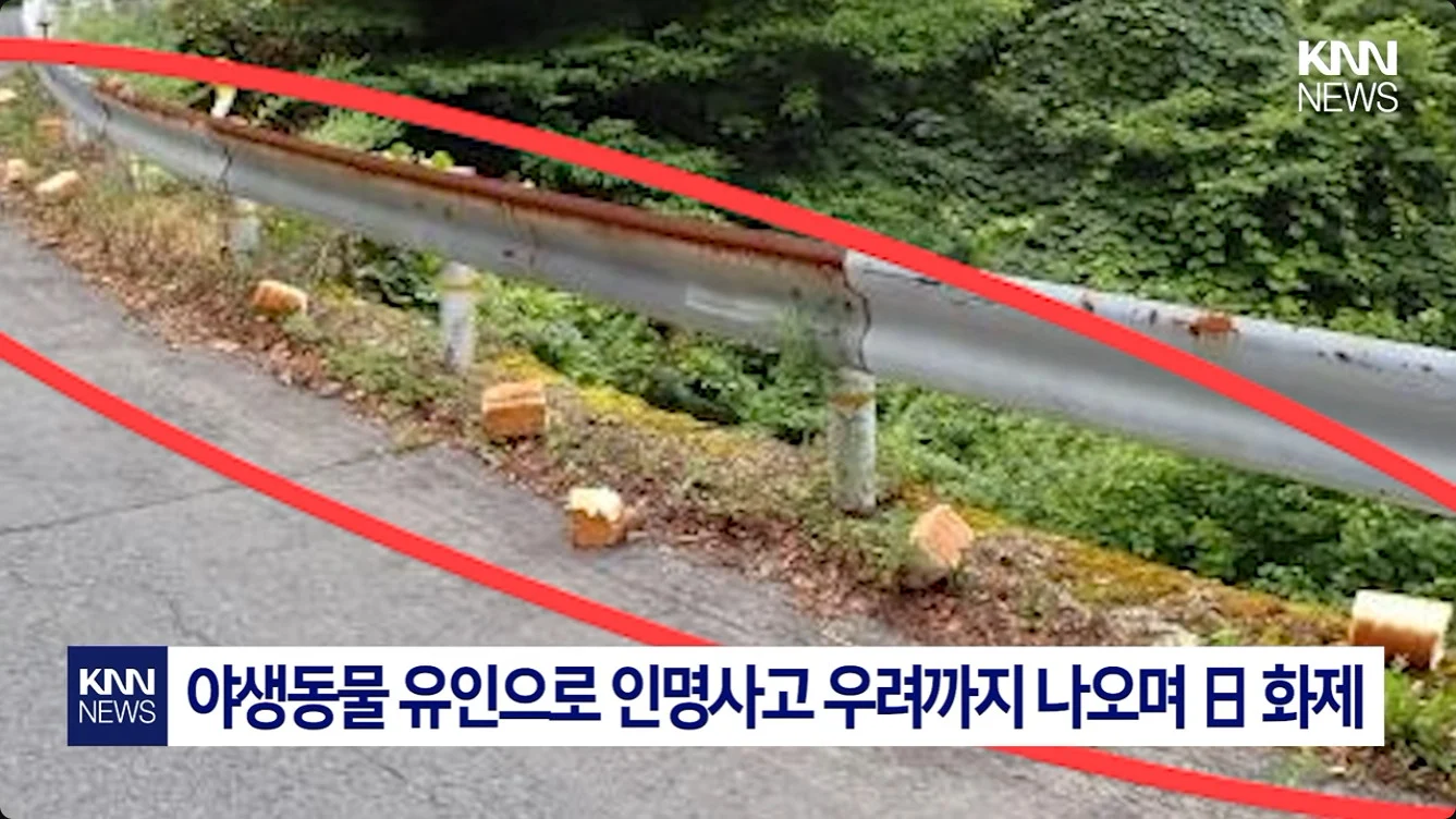 일본에서 난리난 기습 곰맘 시위 (6)
