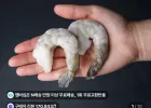 칵테일새우 흰다리새우 31/40 900g