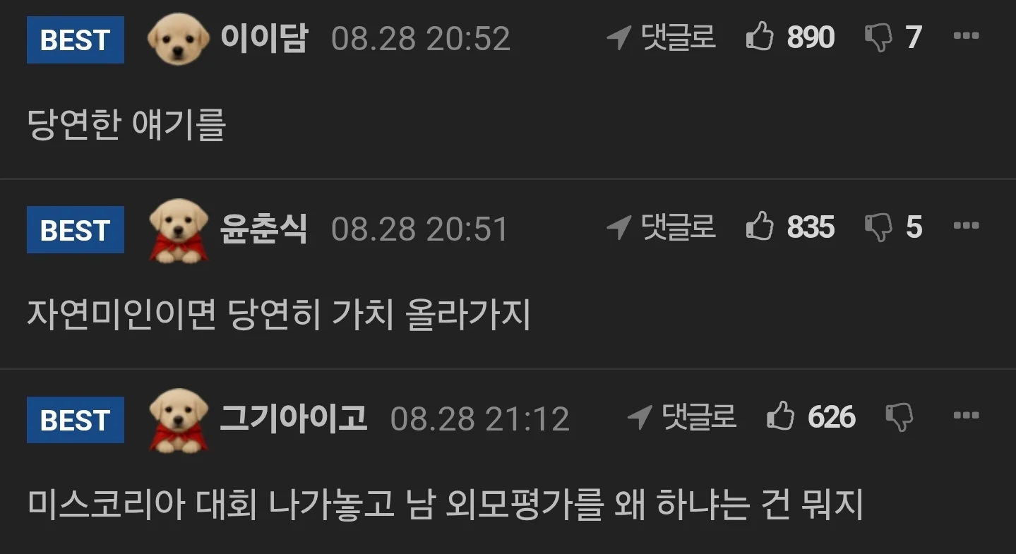 "성형 안했으면 가치 올라가나" 일침... 남초 반응 (3)