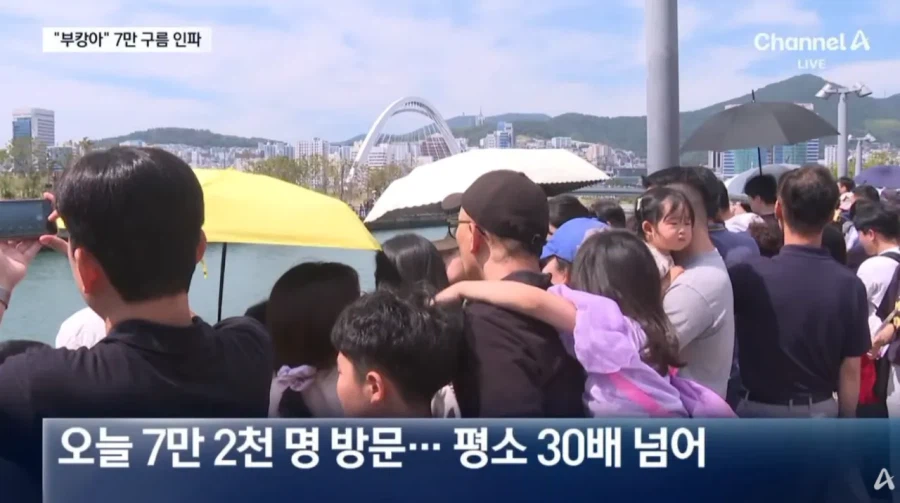 추석 연휴 기세 탄 부산 상어 근황 (2)