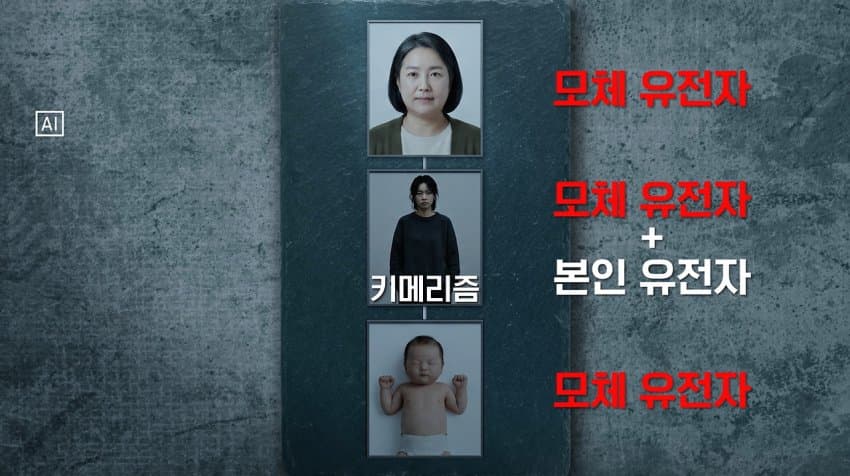 터무니없는 이유로 무죄 판결 받은 살인사건 (26)
