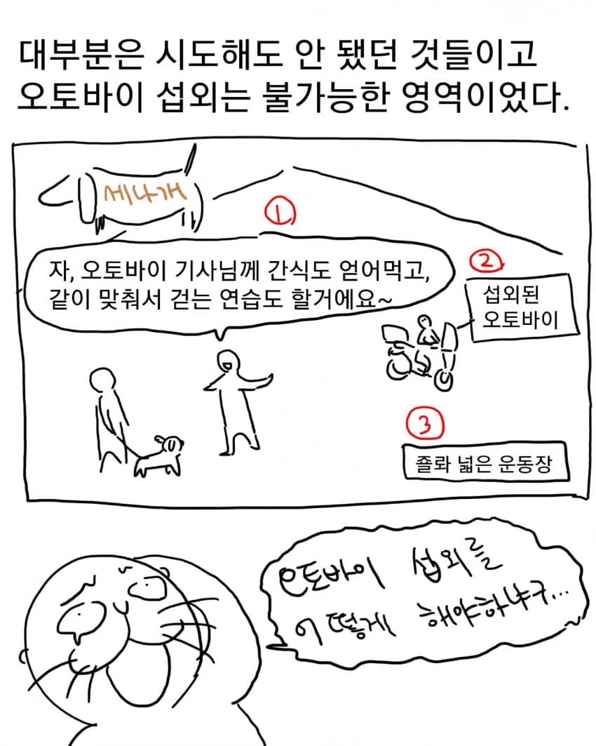 오토바이 무서워하는 강아지 교육하는 만화 (30)