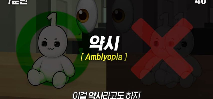 사시는 과연 어떻게 보일까...? (16)