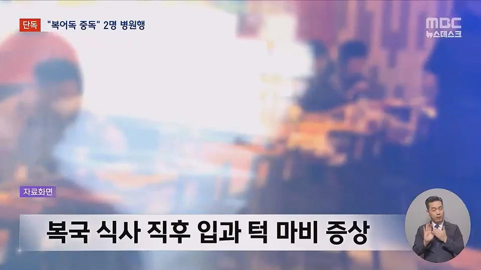 [단독] 소문 난 복국집서 '복어독' 중독‥병원행 식당측 "개인의 체질문제" (4)