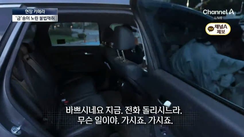 채널a) 송이버섯 1kg에 160만원...밤낮 추격전 (24)