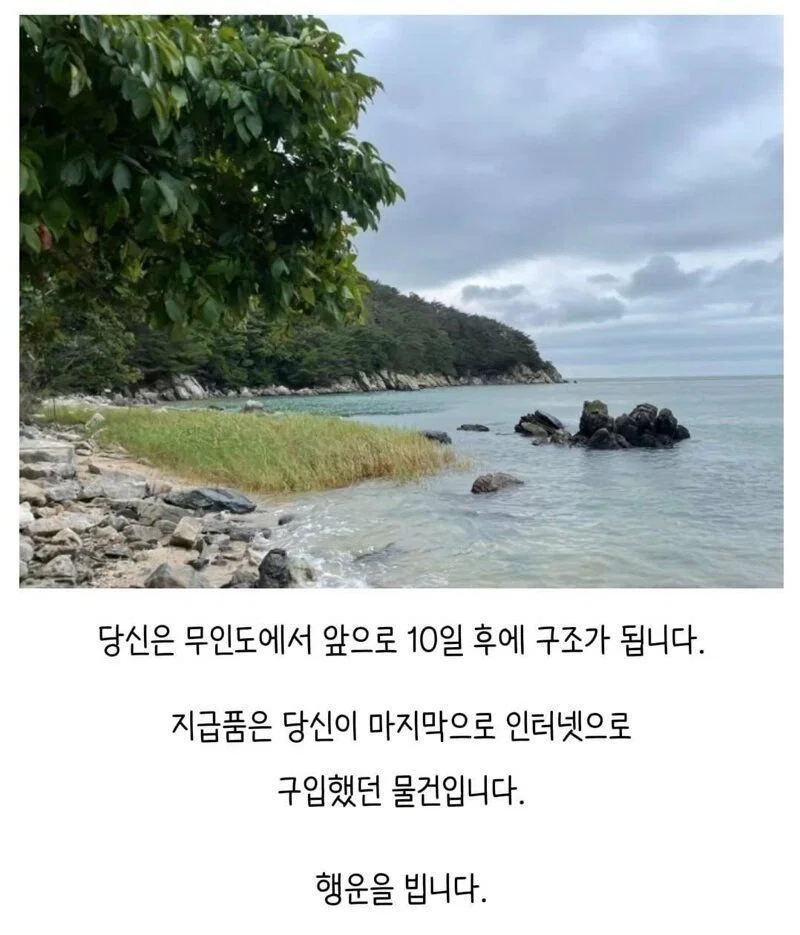 당신은 무인도에 표류되었습니다. 지급품은 마지막으로 구입한 물건입니다.