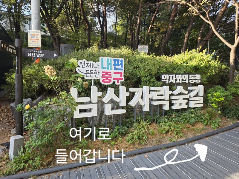 서울에서 남산타워,롯데타워를 볼수있는 공원 (5)