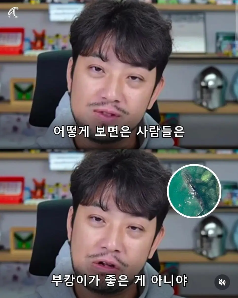 인방주의)부캉이 사태를 본 침착맨