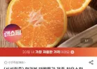 제주 하우스한라봉 2kg+500덤