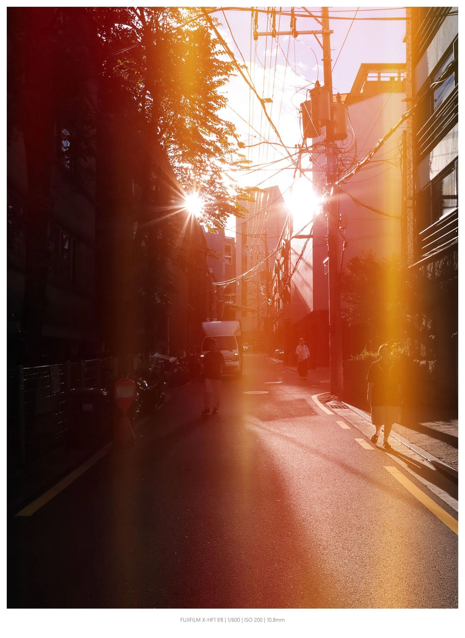[15주차] 후하딱 라이트릭 효과 (12)