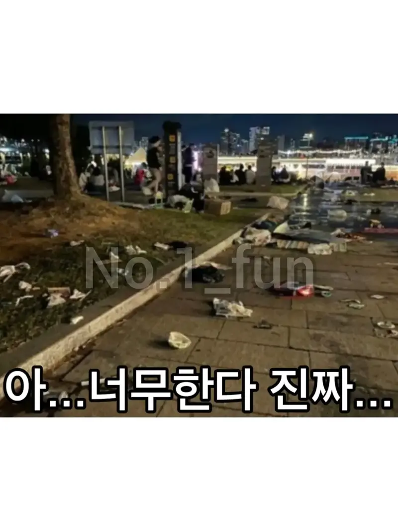 쓰레기만 남은 불꽃축제 (3)