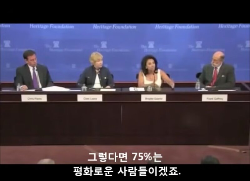 "다수의 평화주의자는 상관없습니다" (11)