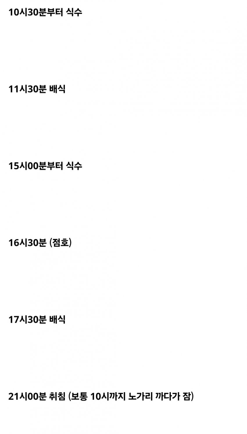 벌금 100만원 내기 싫어서 감옥간 회계사 준비생 ㅋㅋㅋㅋㅋ (40)
