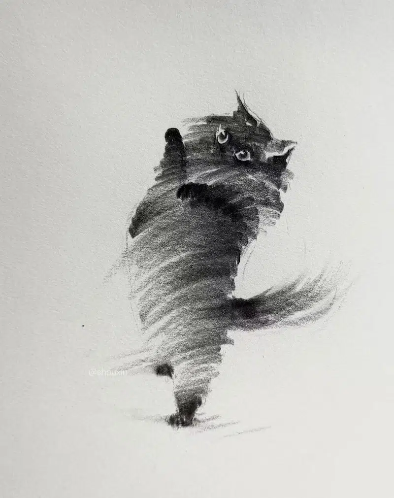 ShouXin 고양이 흑백 모노크롬 (13)