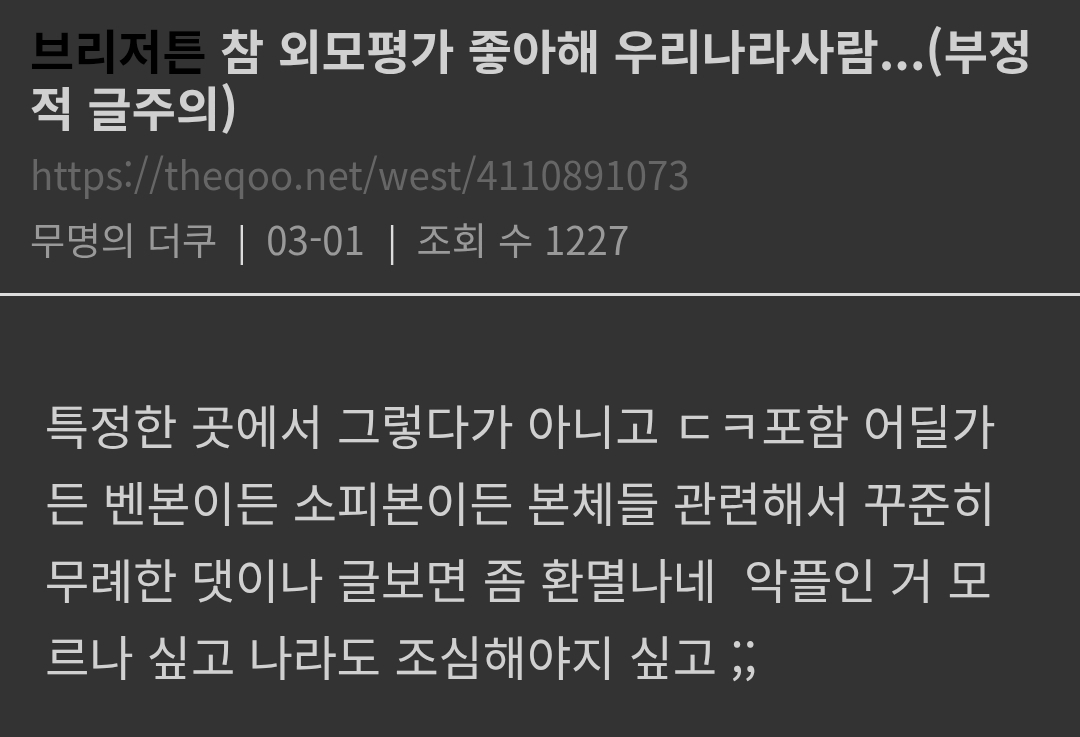 브리저튼4로 미드 덕질 처음 해본 덬들이 느낀 우리나라 외모지상주의
