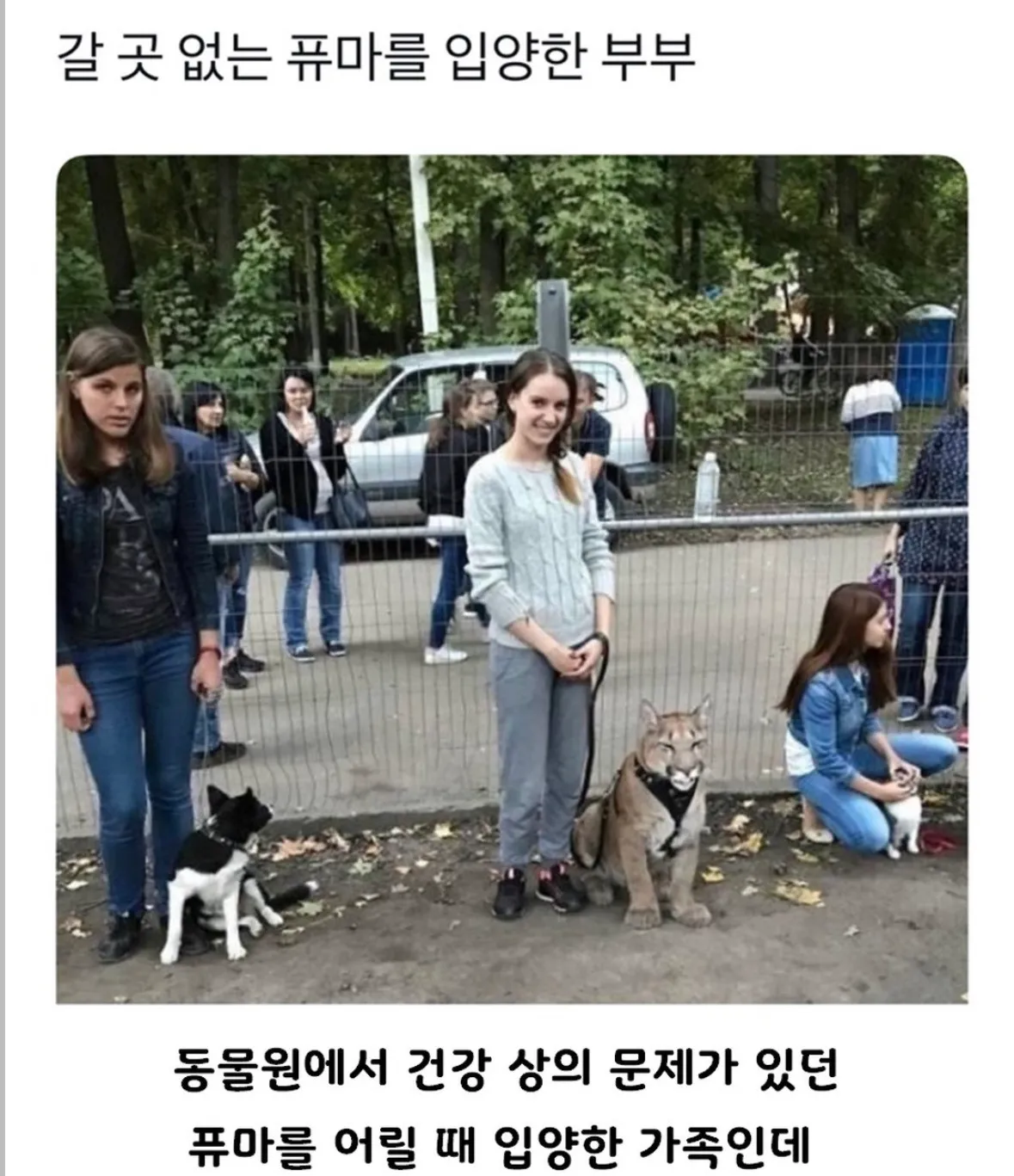 갈 곳 없는 퓨마를 키우게 된 부부