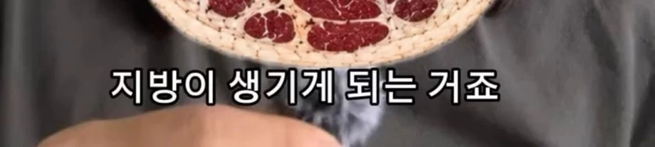 30대 이후부터는 근력 운동을 꼭 해야 하는 이유 (9)